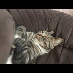 Meet your Posher, Kathy